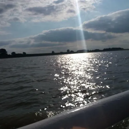 Nordseeeule * Neuschoo