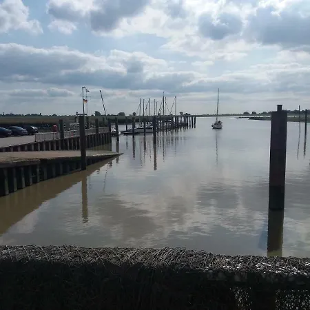 Nordseeeule *