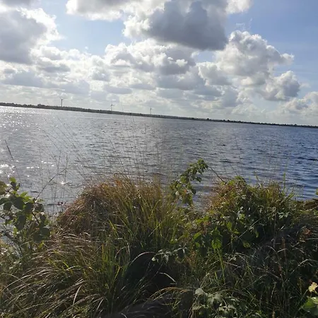 Nordseeeule *